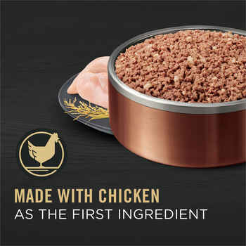 Purina Pro Plan Adult 7+ Senior Complete Essentials Chicken & Rice Entrée Classic Wet Dog Food