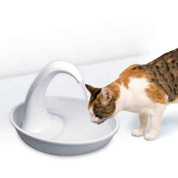 Pioneer Pet Plastic Swan Fountain, 80oz, with USB Pump & Transformer product detail number 1.0