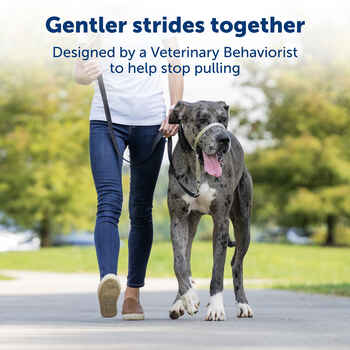 PetSafe Gentle Leader Headcollar No-Pull Dog Collar - Large - Black