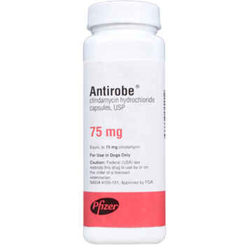 Antirobe 75 mg (sold per capsule) product detail number 1.0