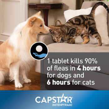 Capstar Flea Treatment Tablets Cats 2-25 lbs 6 pk