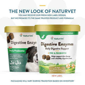 NaturVet Digestive Enzymes Plus Pre & Probiotic Supplement for Dogs