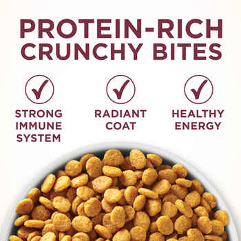 Purina ONE +Plus Urinary Tract Health High Protein Chicken Dry Cat Food 7 lb Bag