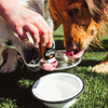 Nulo Hydrate Chicken Flavor Water Enhancer for Dogs