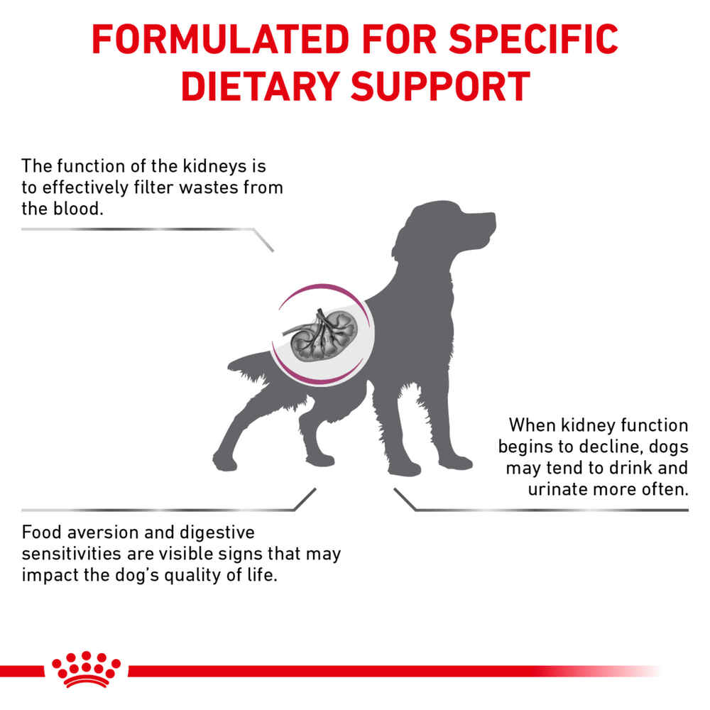 Royal Canin Veterinary Diet Canine Renal Support A Dry Dog Food