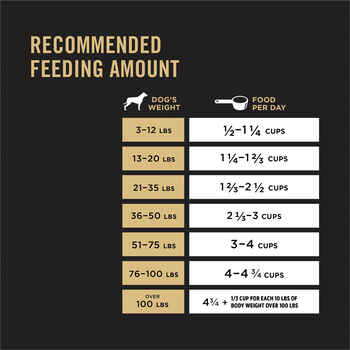 Purina Pro Plan Adult Complete Essentials Shredded Blend Beef & Rice Formula Dry Dog Food 6 lb Bag