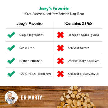 Dr. Marty Joey's Favorite 100% Freeze-Dried Raw Salmon Dog Treats 4 oz Bag