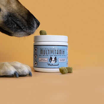 Natural Dog Company Multivitamin Supplement Chews 90ct