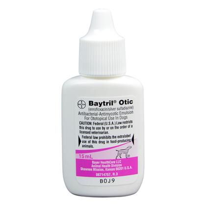 Baytril Otic: Ear Antibiotic For Dogs 