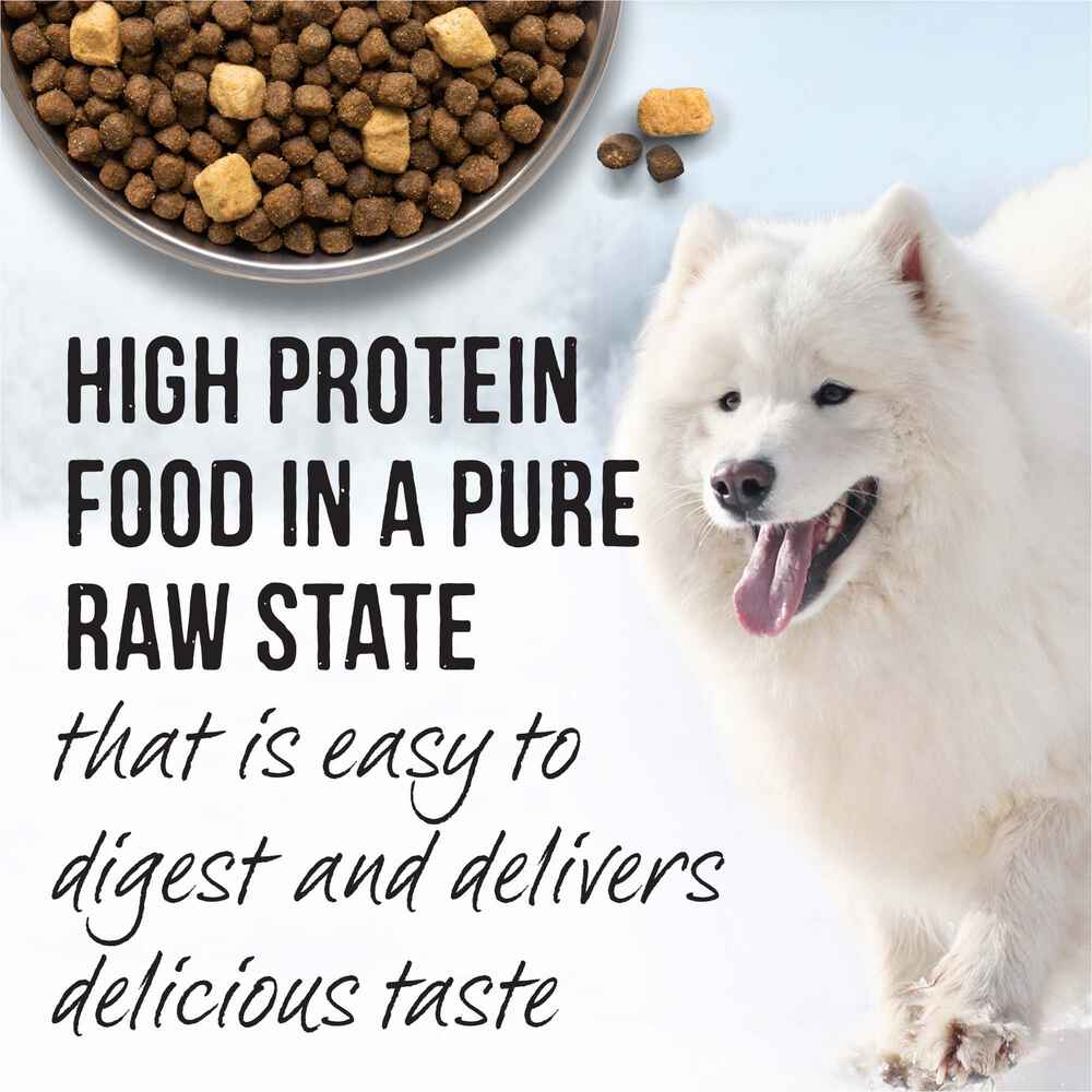 Merrick Backcountry Raw Infused with Healthy Grains Pacific Catch Dry Dog Food