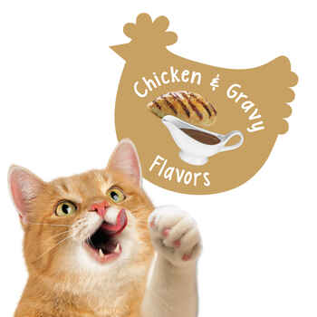 Friskies Party Mix Gravylicious Crunch Chicken & Gravy Flavors Cat Treats 20 oz Canister