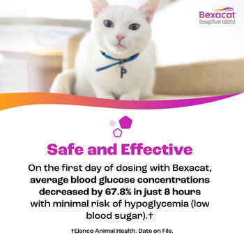 Bexacat (bexagliflozin tablets) Diabetes Mellitus Treatment for Cats 15 mg Tablet - 30 ct