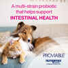 Proviable Combo Kit for Medium and Large Dogs 30 ml
