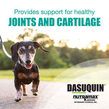 Nutramax Dasuquin Joint Health Supplement - With Glucosamine, Chondroitin, ASU, Boswellia Serrata Extract, and Green Tea Extract Large dogs, 84 Soft Chews
