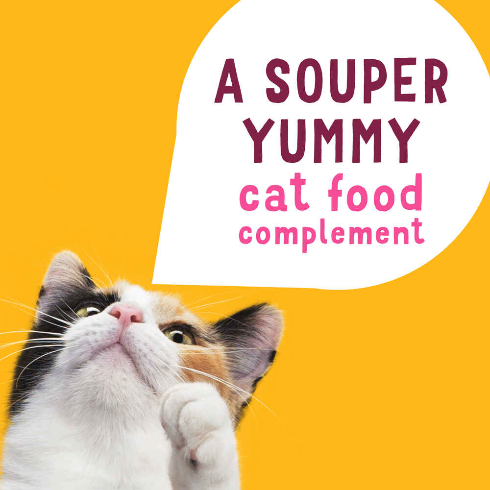 Friskies Lil' Soups with Sockeye Salmon in a Velvety Chicken Broth Cat Food Compliment Topper