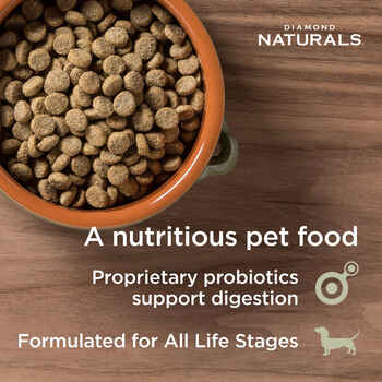 Diamond Naturals Skin & Coat All Life Stages Dry Dog Food