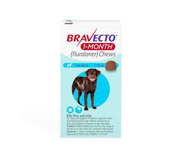 Bravecto 1-Month Chews Large Dog (44-88 lbs) 1 pk product detail number 1.0