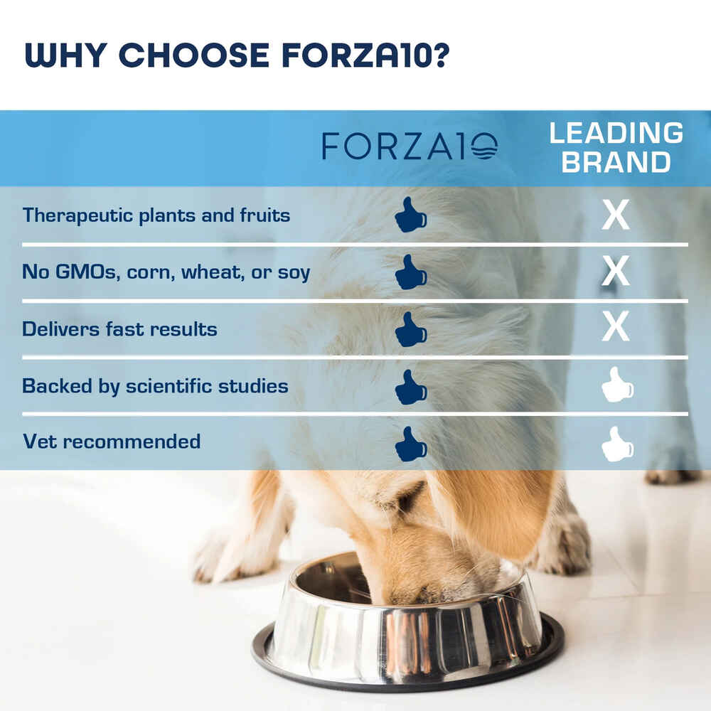 Forza10 Nutraceutic Legend All Life Medium & Large Breed Wild Caught Anchovy Grain Free Dry Dog Food