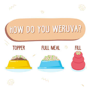 Weruva Wok The Dog with Chicken, Beef & Pumpkin in Gravy for Dogs