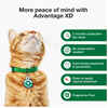 Advantage XD Small Cat, 1-pk