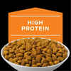 Purina Pro Plan Veterinary Diets OM Overweight Management Feline Formula Dry Cat Food - 6 lb. Bag