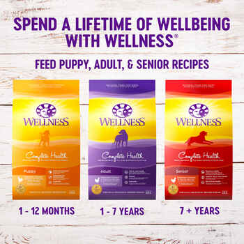 Wellness Complete Health Small Breed Adult Turkey & Oatmeal Recipe Dry Dog Food 12 lb Bag