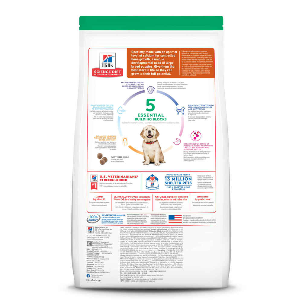 Hill's Science Diet Puppy Large Breed Lamb Meal & Brown Rice Dry Dog Food