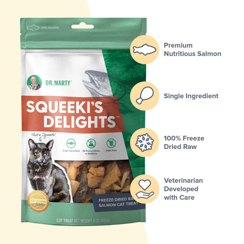 Dr. Marty Squeeki's Delights Freeze-Dried Raw Salmon Cat Treats
