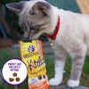 Wellness Kittles Tuna & Cranberries Recipe Crunchy Cat Treats 2 oz Bag
