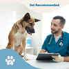 Prana Pets Immunity Blend Immune Health Liquid Cat & Dog Supplement 2 fl oz.