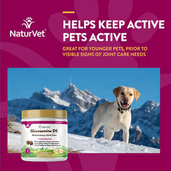 NaturVet Glucosamine DS Level 1 Maintenance Joint Care Supplement for Dogs and Cats Soft Chews 120 ct