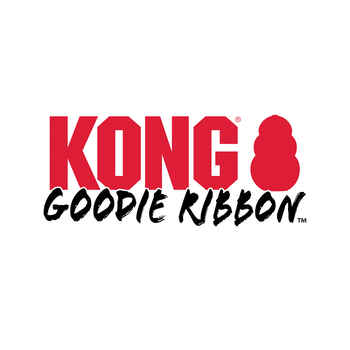 KONG Extreme Goodie Ribbon Dog Chew Toy - Medium