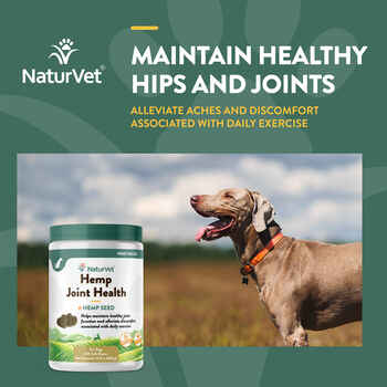 NaturVet Hemp Joint Health Plus Hemp Seed Supplement for Dogs