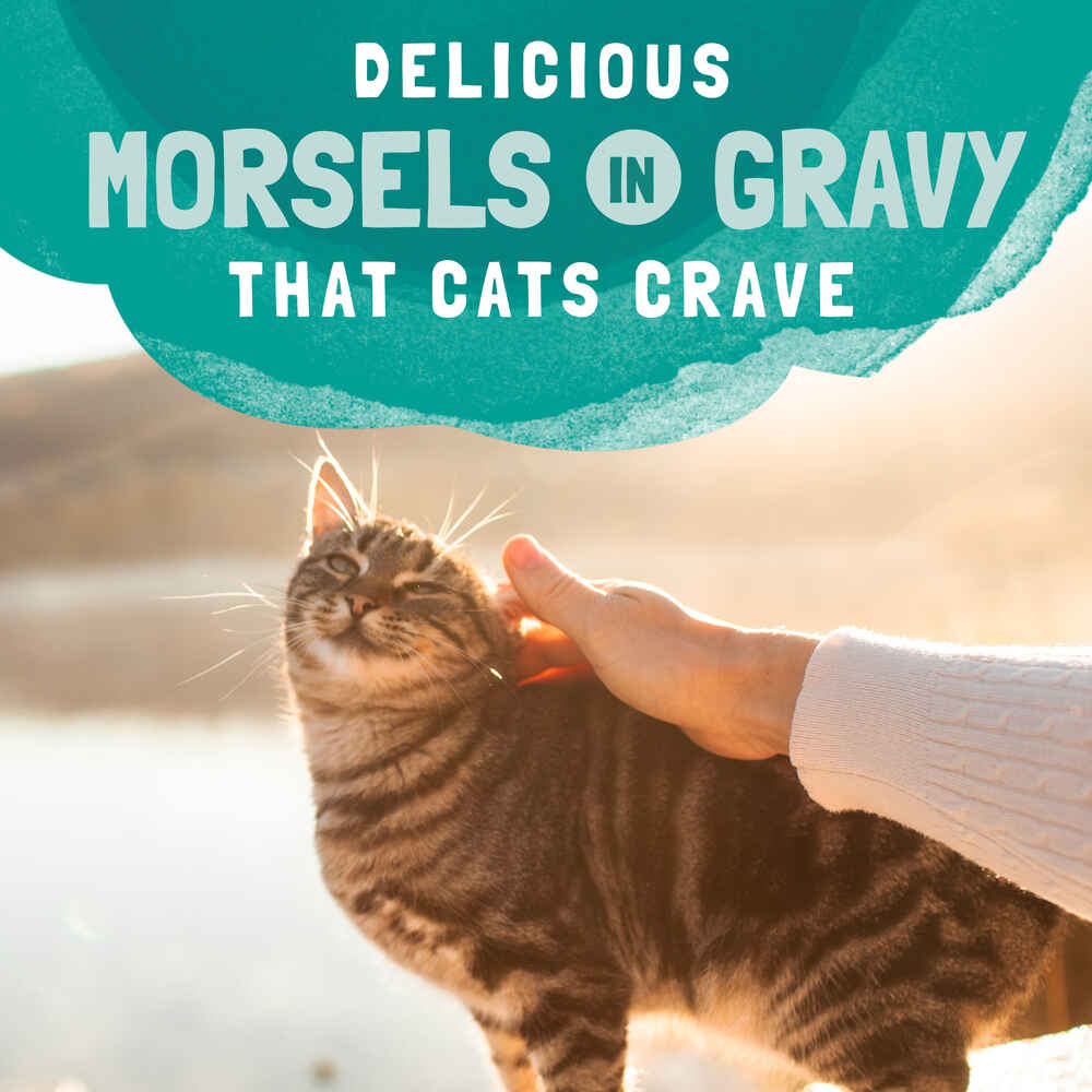 Natural Balance Original Ultra Platefulls Chicken & Salmon Recipe in Gravy Wet Cat Food