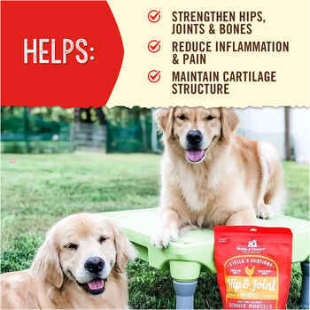 Stella & Chewy's Stella's Solutions Hip & Joint Boost Freeze-Dried Raw Cage-Free Chicken Dinner Morsels Dog Food