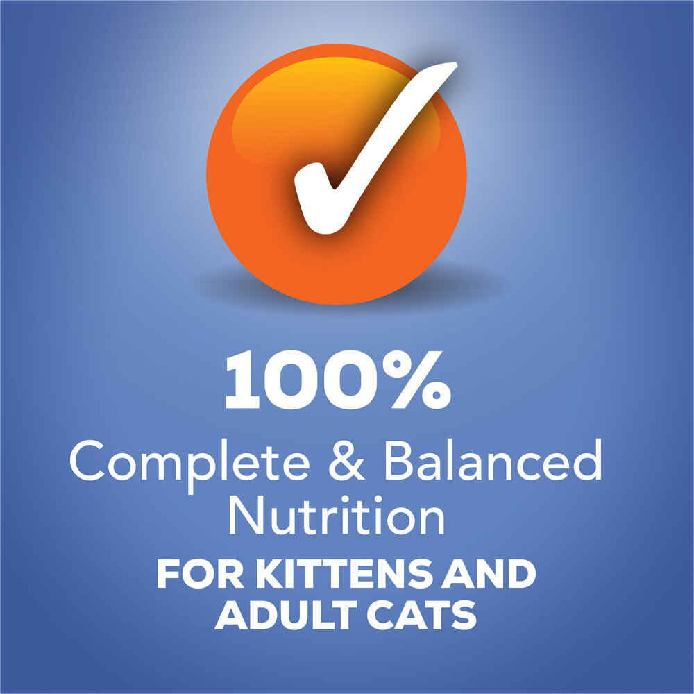 Friskies Seafood Pate Favorites Variety Pack Wet Cat Food 32 Cans