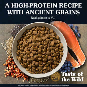 Taste of the Wild Ancient Stream Canine Recipe Smoke-Flavored Salmon & Ancient Grains Dry Dog Food - 5 lb Bag