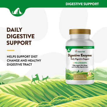 NaturVet Digestive Enzymes Plus Probiotic Tablets 60 ct