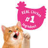 Friskies Party Mix California Crunch Cat Treats 2.1 oz Pouch