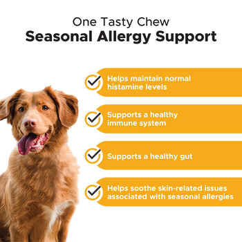 Pet Honesty Allergy Support Salmon Flavored Soft Chews Allergy & Immune Supplement for Dogs 90 Count