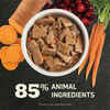 ACANA Premium Chunks Pork Recipe in Bone Broth Wet Dog Food 12.8 oz Cans - Case of 12