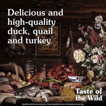 Taste of the Wild Wetlands Canine Recipe Fowl Wet Dog Food - 13.2 oz Cans - Case of 12