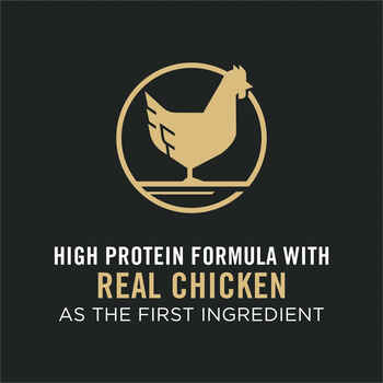Purina Pro Plan Adult Complete Essentials Shredded Blend Chicken & Rice Formula Dry Dog Food 18 lb Bag