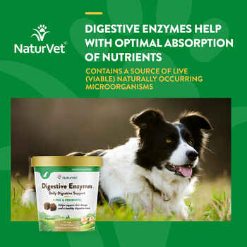 NaturVet Digestive Enzymes Plus Pre & Probiotic Supplement for Dogs