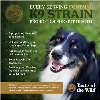 Taste of the Wild Ancient Wetlands with Ancient Grains Salmon Dry Dog Food
