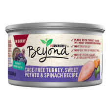 Purina Beyond Cage-Free Turkey, Sweet Potato & Spinach Recipe in Gravy Wet Cat Food-product-tile