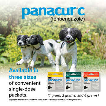 Panacur C Canine Dewormer Three 1 Gram Packages
