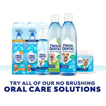 Naturel Promise Fresh Dental Water Additive 18 oz Bottle