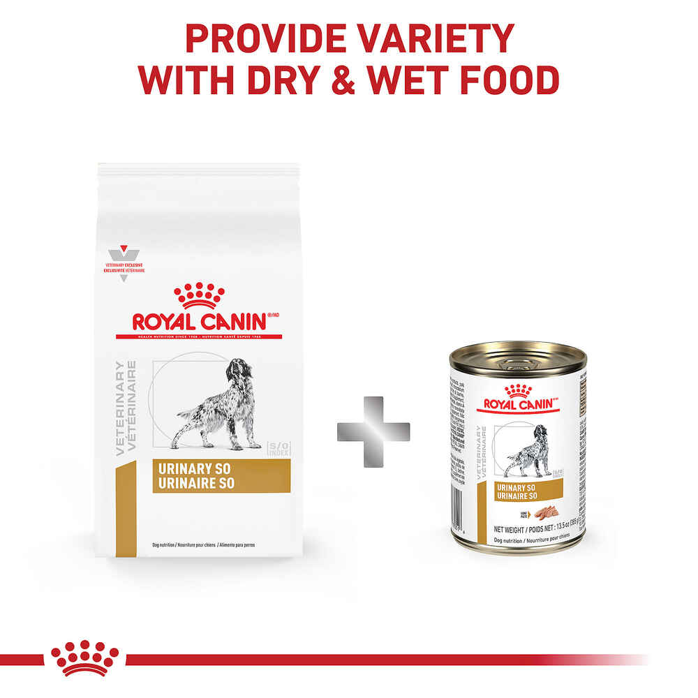 Royal Canin Veterinary Diet Canine Urinary SO Dry Dog Food