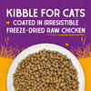 Stella & Chewy's Chicken Flavored Raw Coated Cage-Free Kitten Dry Cat Food 2.5 lb